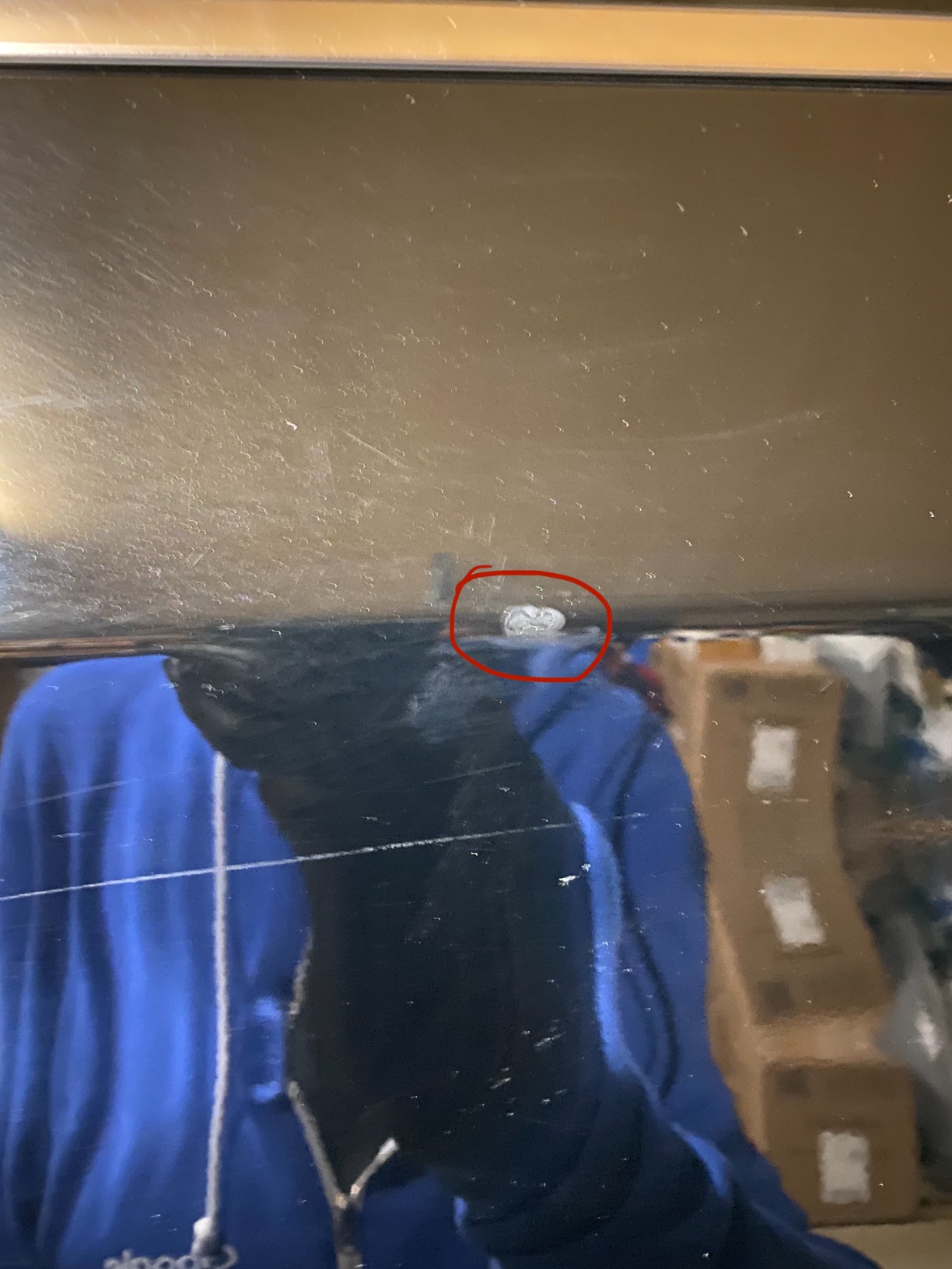 Foto von Kevin 2